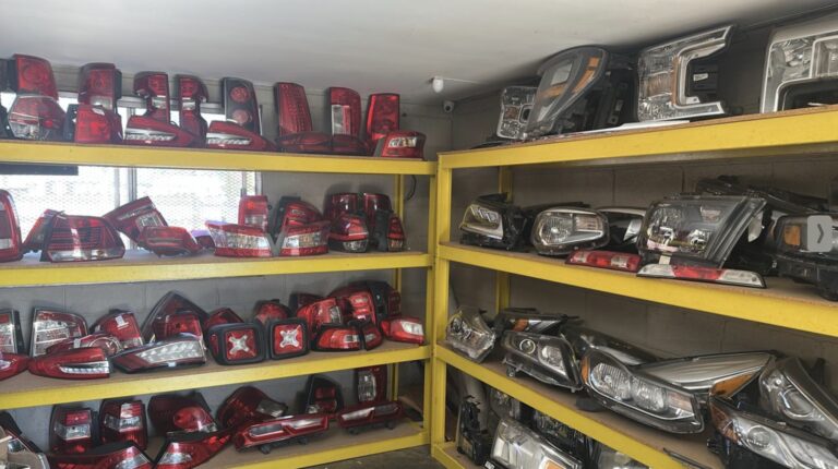 Imagen 15 01 26 a las 3.42 p.m 768x430